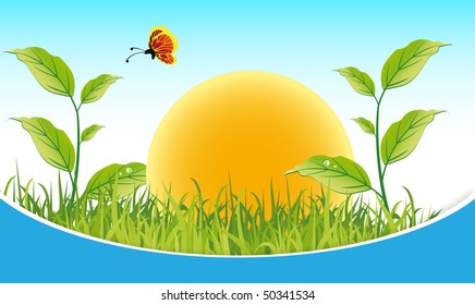 green nature summer background