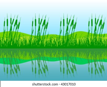green nature vector illustration
