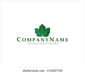 Green Nature Vector Logo Design