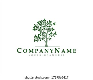 Green Nature Vector Logo Design
