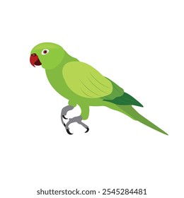 green  necklace parrot on white background Cartoon green the indian ring-necked parakeet parrot hand drawn isolated on a white background. Flat design. Vector illustration.