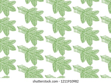 Green needles twig pattern, contour on isolated white background, vector stock illustration for design and decor, for wrapping paper, fabrics, decoupage, scrabbing