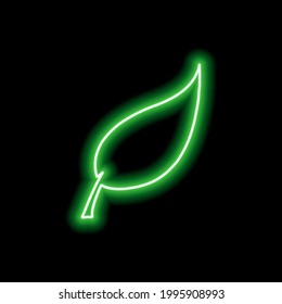 Green neon leaf outline from a tree on a black background. Vector illustration