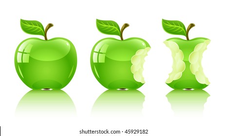 green nibbled apple with leaf - vector illustration, isolated on white background