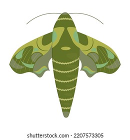 Green night moth top view isolated on a white background. Flat Art Vector Illustration