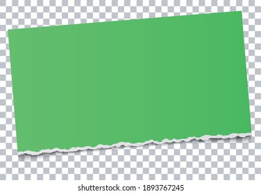 green note paper banner on transparent background