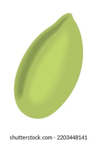 green nut isolated realistic icon