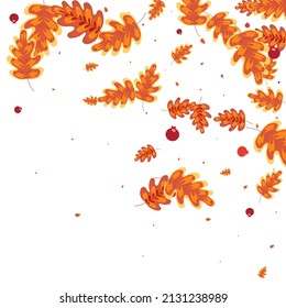 Green Oak Background White Vector. Leaves Modern Design. Golden Leaf. Sale Set. Orange Acorn Art.