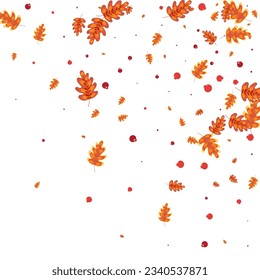 Green Oak Background White Vector. Leaf Season Frame. Yellow Plant. October Design. Red Acorn Collection.