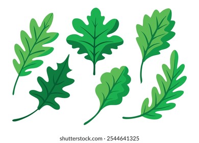 
Green oak branch with leaves llustration on white background