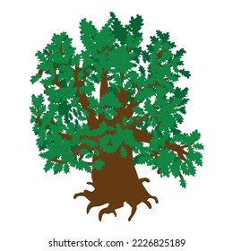 Green oak icon isometric vector. Old green freestanding deciduous tree with root. Plant, nature, flora, environment