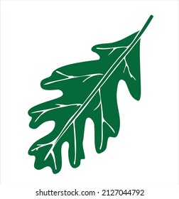 Green oak leaf, doodle illustration abstraction