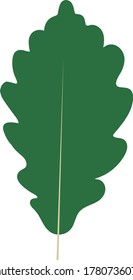 Green oak leaf in a flat style