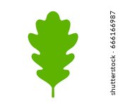 Green oak leaf icon