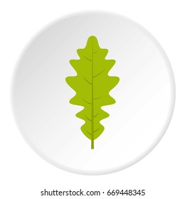 Green oak leaf icon in flat circle isolated on white background vector illustration for web