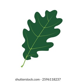 Green oak leaf, isolated flat style