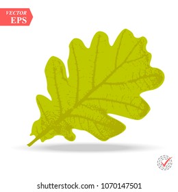 Green oak leaf isolated on white background eps