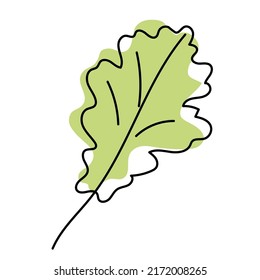 Green oak leaf isolated on white background. Leaves in linear art with the addition of colored spots. Vector illustration.