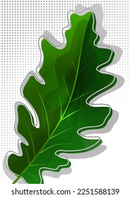 Hojas de roble verde aisladas en fondo blanco. Ilustración del vector