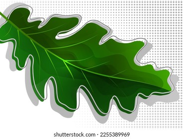 Green oak leaf isolated on white background. Vector illustration