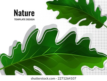 Green oak leaf isolated on white background. Vector illustration
