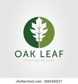 green oak leaf or natural leaves logo vector illustration design