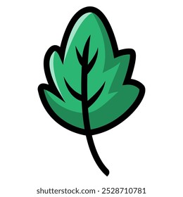 Folha de carvalho verde sobre fundo branco