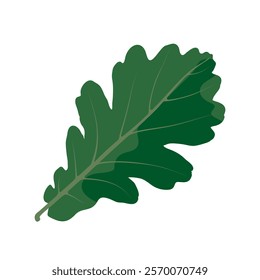 Green oak leaf resting on a plain background showcasing its unique shape and texture