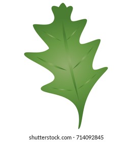 Green Oak Leaf, simple leaf vector