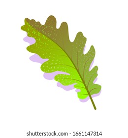 Hojas de roble verde texturadas con sombra, aisladas sobre fondo blanco. Icono de la naturaleza única realista, símbolo de ecología elemento plano. Ilustración vectorial de material. diseño del logotipo.