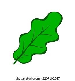Green oak leaf. Oak tree. Yellow, orange and red. Nature and plants. Autumn season. Cartoon vector illustration isolated on white background. Hand drawn sketch