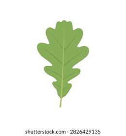 Green Oak Leaf Vector Illustration Isolated on White Background for Nature and Ecology Design Concepts