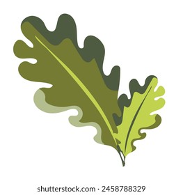 Hojas de roble verde en diseño plano. Ramo decorativo del herbario del bosque. Ilustración vectorial aislada.