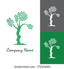 green oak silhouette of a tree, vector illustration logo design