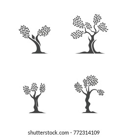 green oak silhouette of a tree, vector illustration logo design