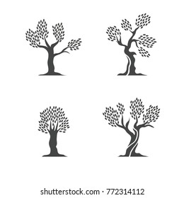 green oak silhouette of a tree, vector illustration logo design