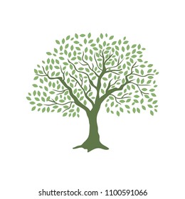 Modification Stylized Tree Image Stock Vector (Royalty Free) 246098110
