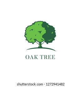 Green Oak Tree Logo Design Template