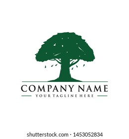 Green oak tree logo design inspiration