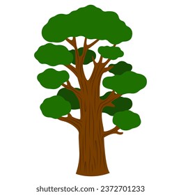 Green oak tree on white background