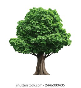 Green Oak tree vector illustration