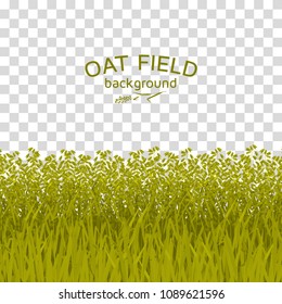 Green oat field on checkered background.  Colorful vector illustration.  