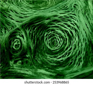 Green old tree bark texture shaped as owl eyes. Vector background