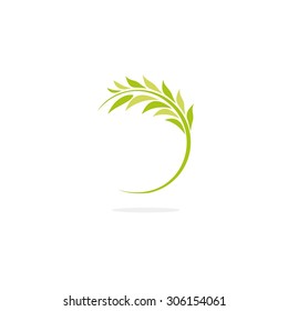 Green Olive Branch. Fresh Leaves. Peace And A Symbol Of Fertility. Harvesting Vector Logo.