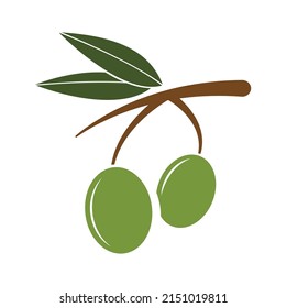 Green olive branch icon vector illustration. Olive branch with berry and leaf. Natural organic olive oil. 