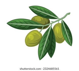 Green Olive Branch with Leaf and Fruit as Greece Object and Traditional Cultural Symbol Vector Illustration