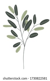 green olive branch leaves and branches. Spring or summer flowers for invitation, wedding or greeting cards Vector wreath with .