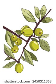Green Olive branch with olives, flat modern illustration on a white background