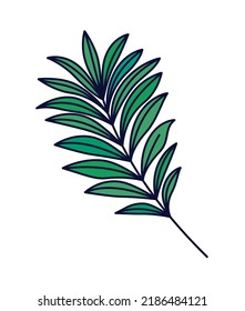 green olive branch over white