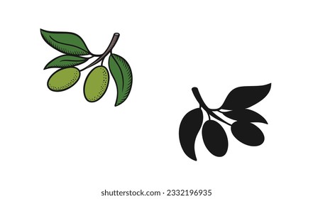 Green olive branch.  Olive branch silhouette. Vector illustration.

